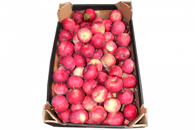 Apfel Impair  13 kg