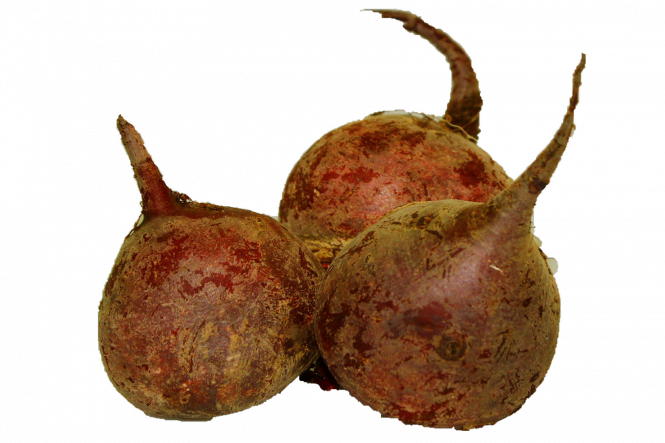 Rote Bete Poland 10kg Neue Ernte