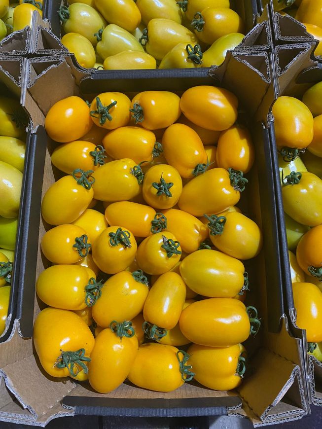 Eier Tomaten  SLIWKOWE Gelbe 6 kg kiste