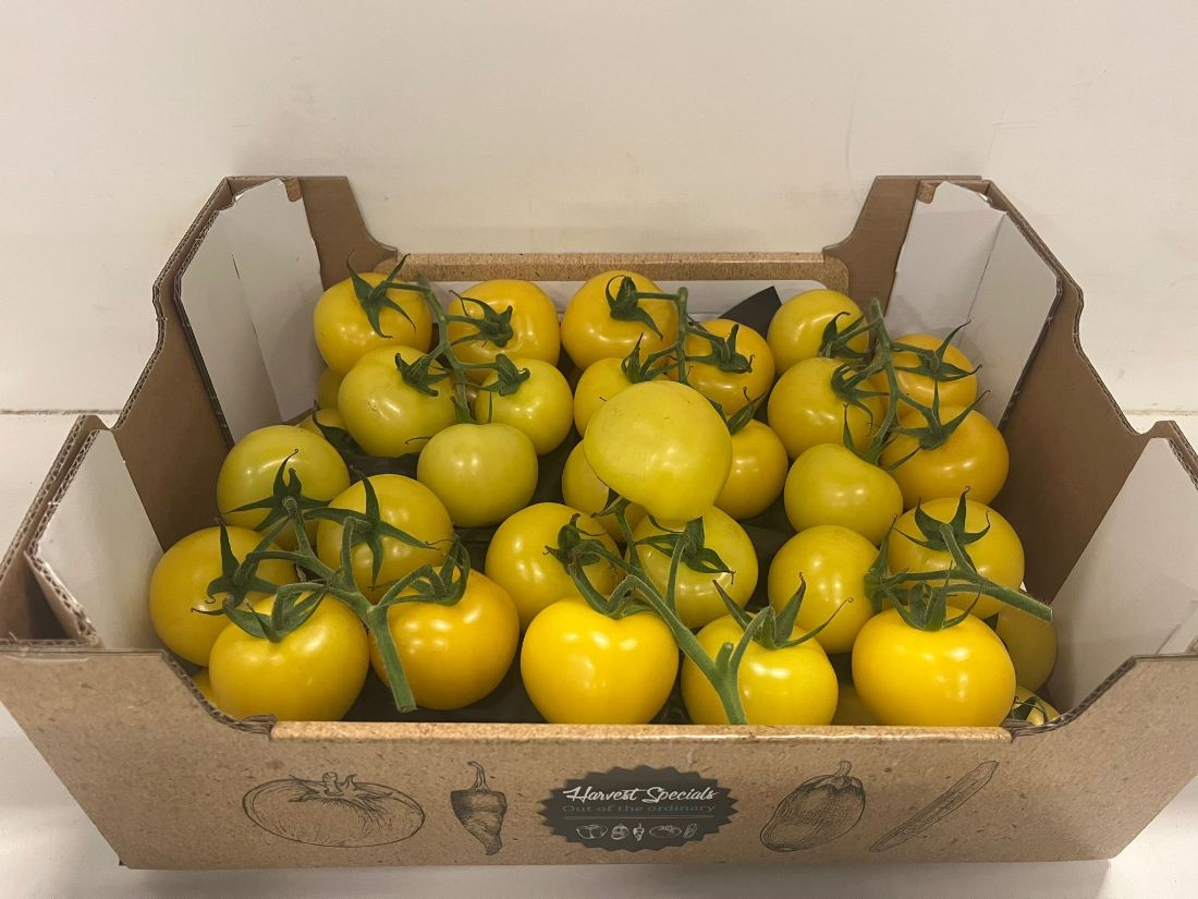 Strauchtomaten GELBE   5 kg  kiste
