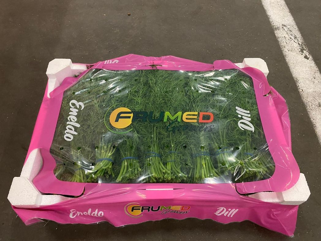 Dill Frisch  Neue!!!!!!!!! ca. 2-2,5 kg