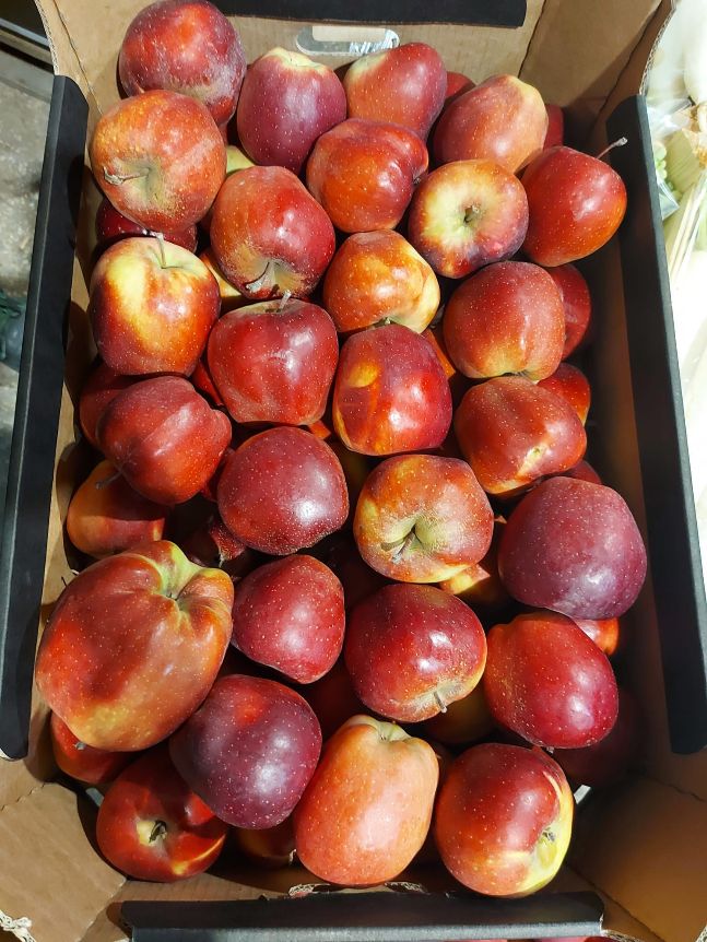 Apfel Gloster  75+   13 kg kiste