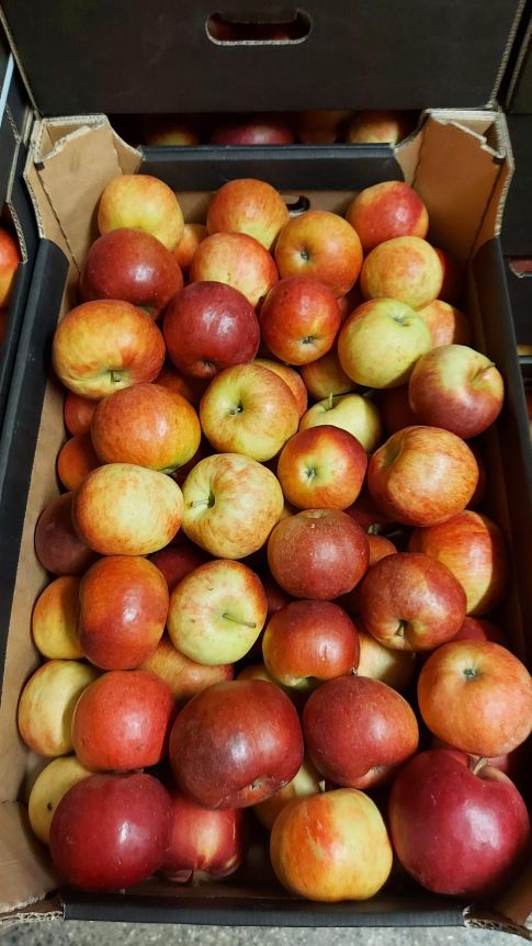 Apfel Idared   75+  13 kg  Angebot !!!!