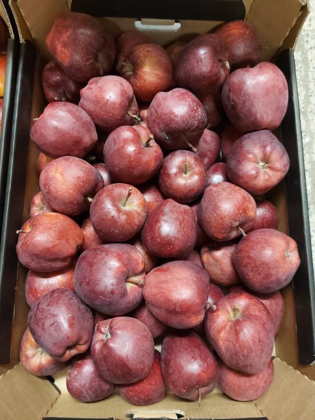Apfel Red Cap  13 kg kist