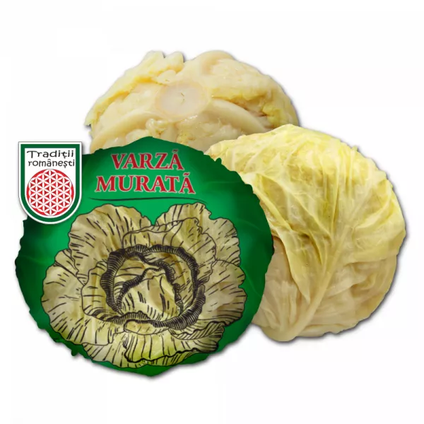 Kapusta Kiszona ca. 1,5 kg st (karton 15 kg)  GLOWKA -VARZA Murata Capatana