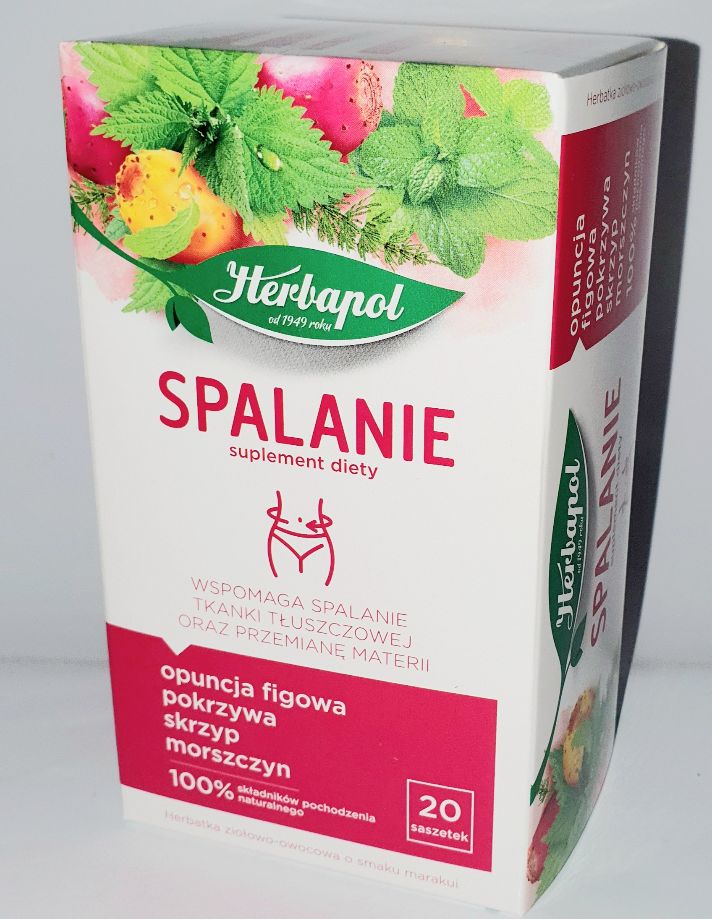 HERBAPOL HERBATA EX.NA SPALANIE+OCZYSZCZANIE [2G*20SZT*10]  TEE