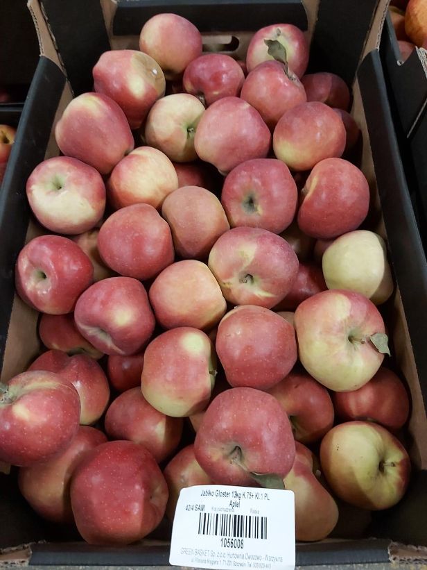 Apfel Gloster  75+   13 kg kiste