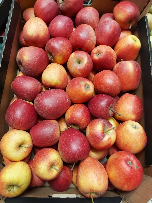 Apfel EWELINA  75 +    kiste 13 kg