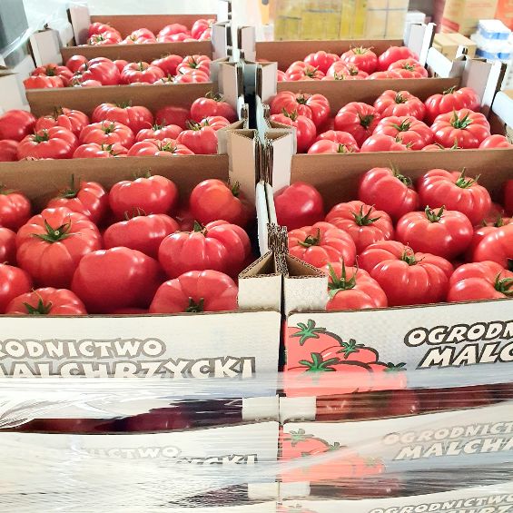 Tomaten Malinowe Poland 3 BBB  6 kg kiste