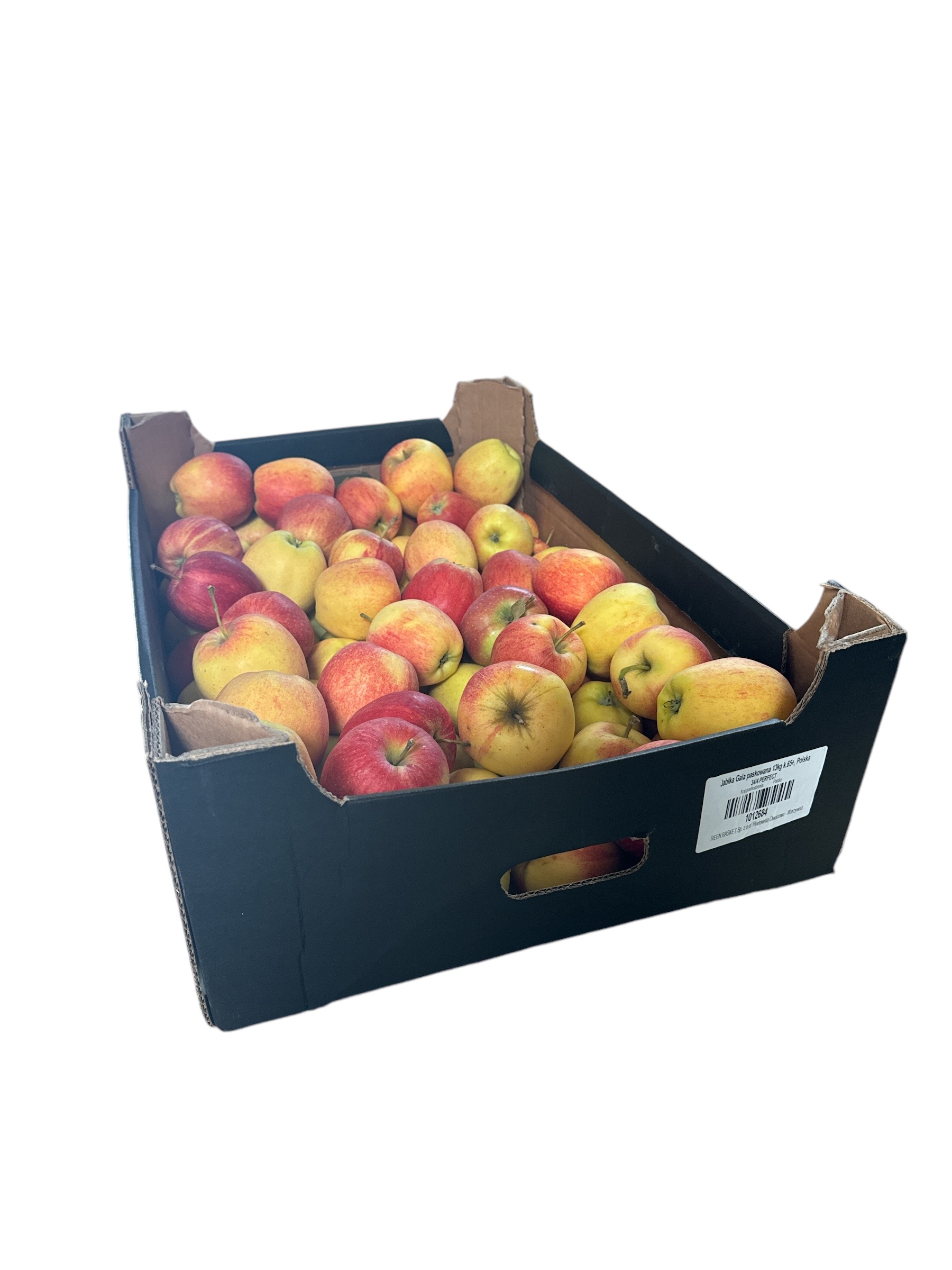 Apfel GALA  Paskowana 13 kg kiste