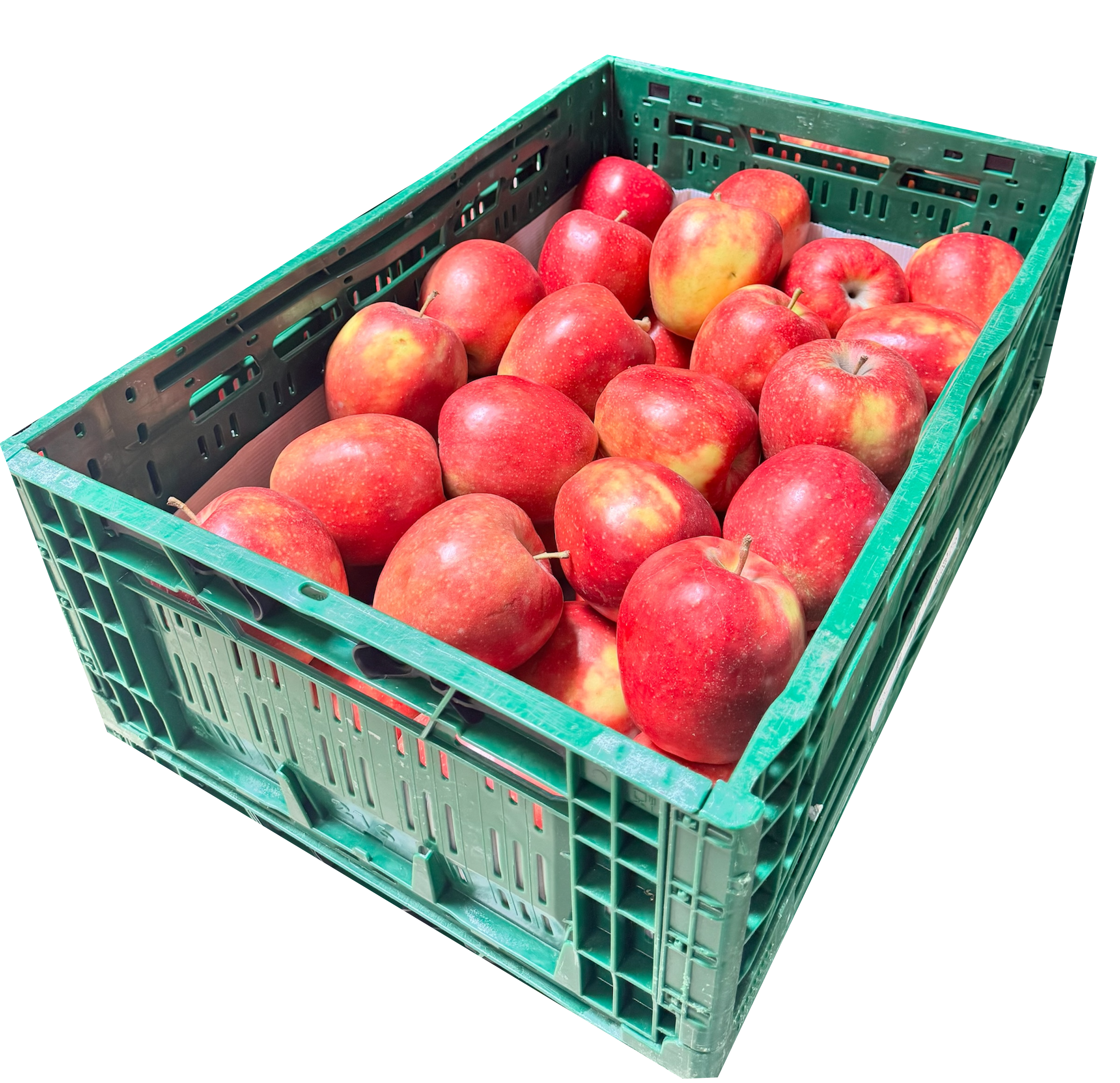 Apfel Red Prince 15kg NEU!!