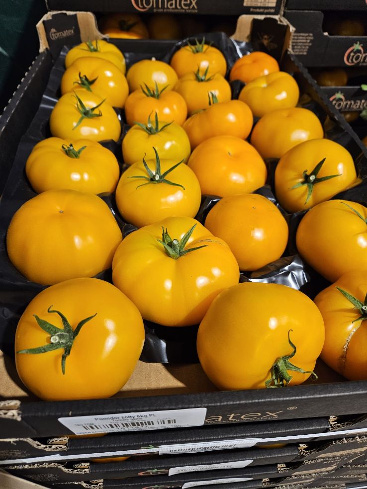 Polnische Fleischtomaten GELBE 102+ BBB 6kg