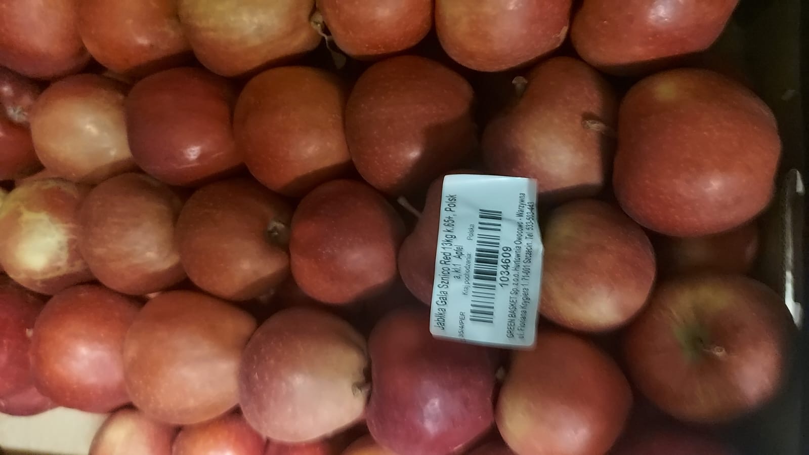 Apfel Gala sznico 13 kg Karton Neue Äpfel !!!!!