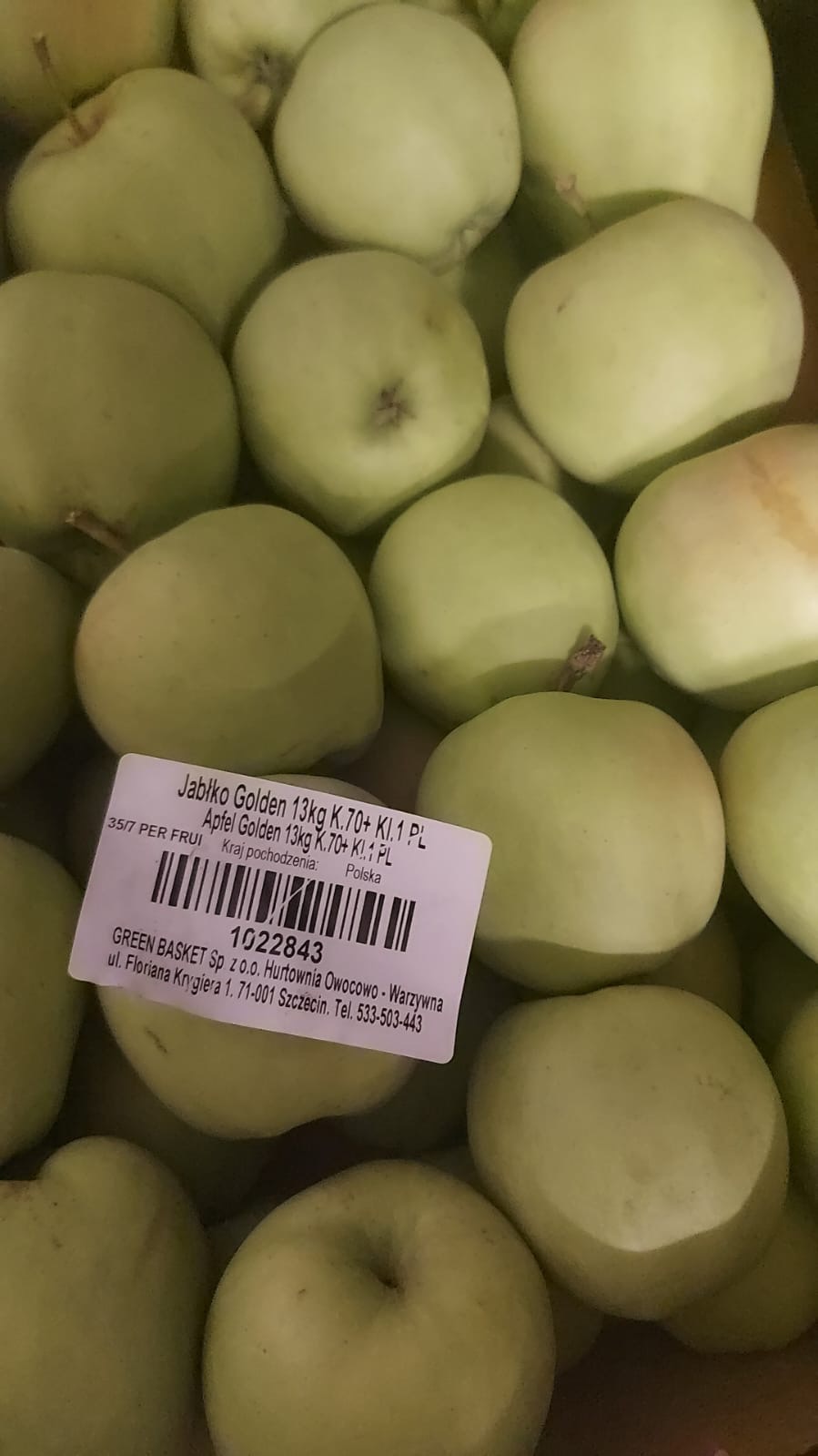 Apfel Golden 13 kg Karton Neue Äpfel !!!!!